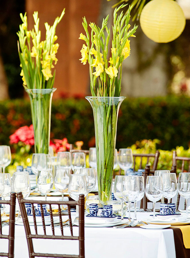 Erin-Ulises-TEM-PSHPV-2