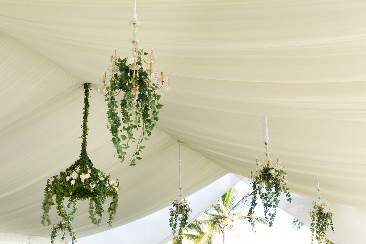 LiMe fotografia-20181027164206